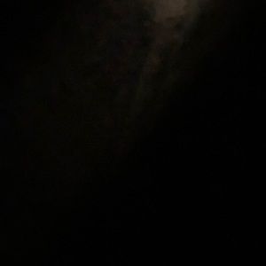 Meet your Posher, Layla